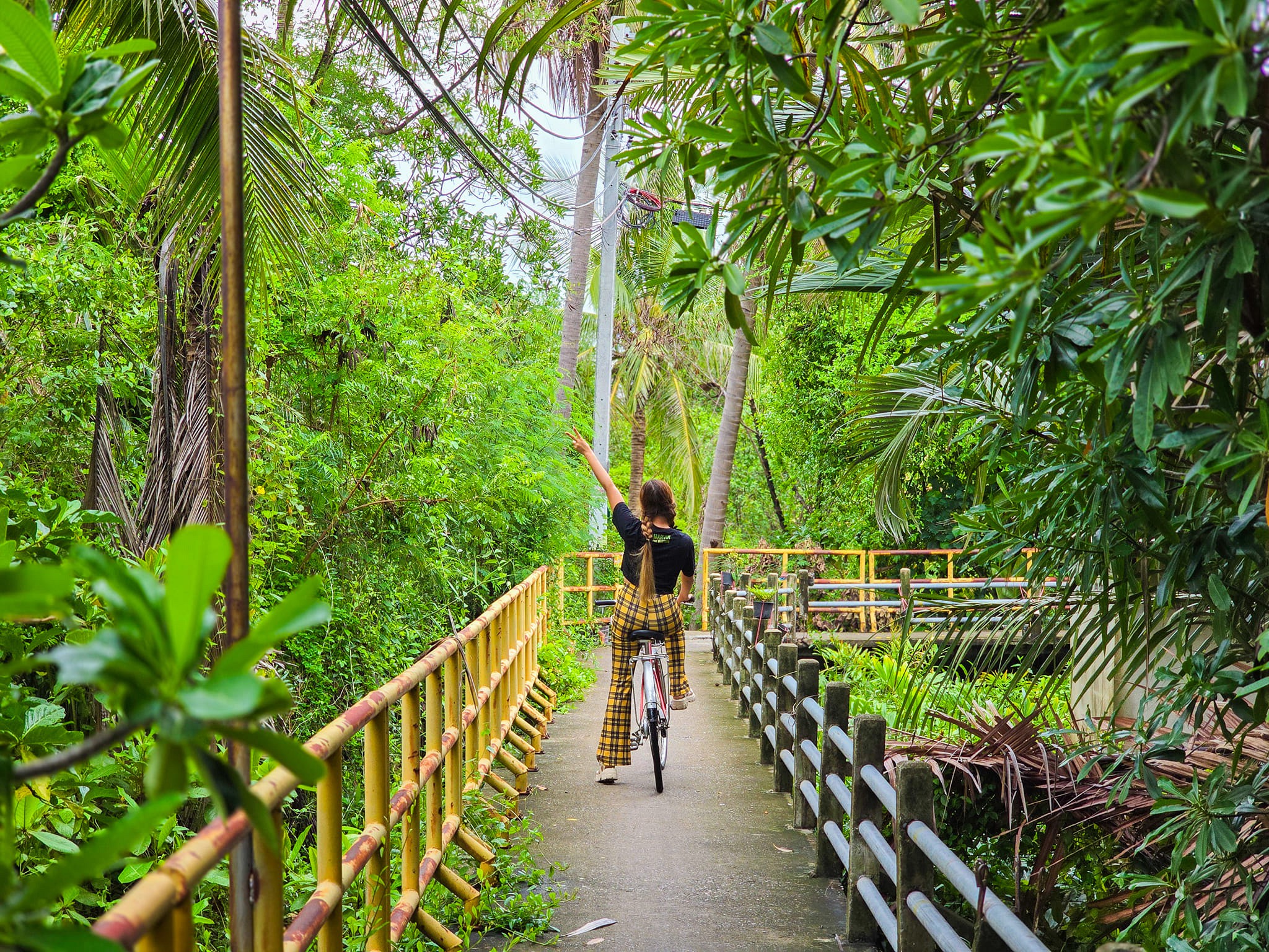 Bike Tour
