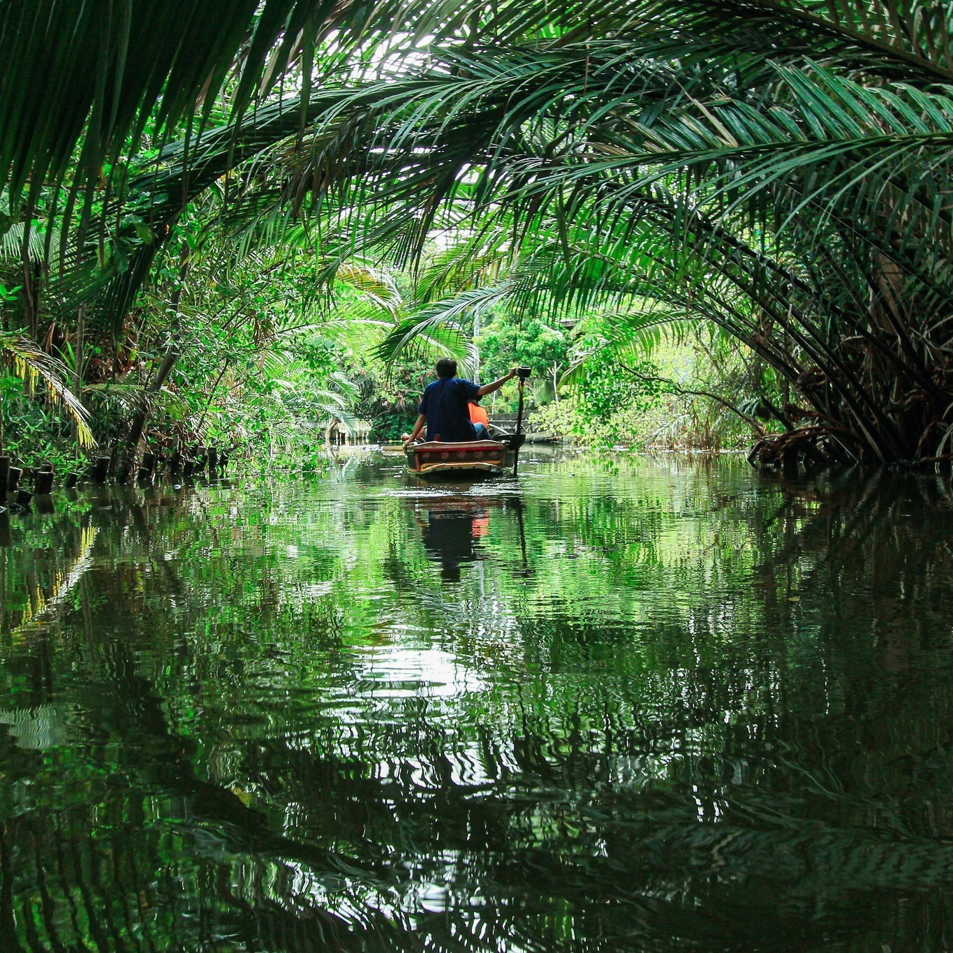 Palm Forest Boat Tour