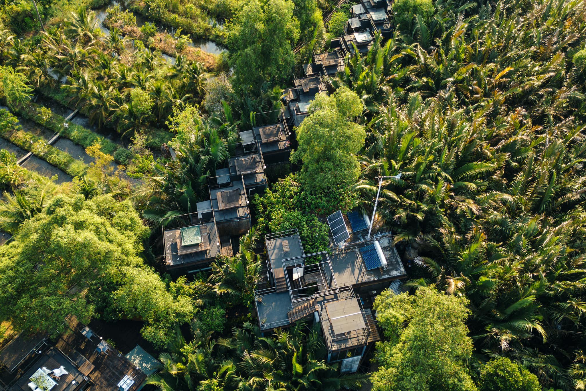 Bangkok Tree House