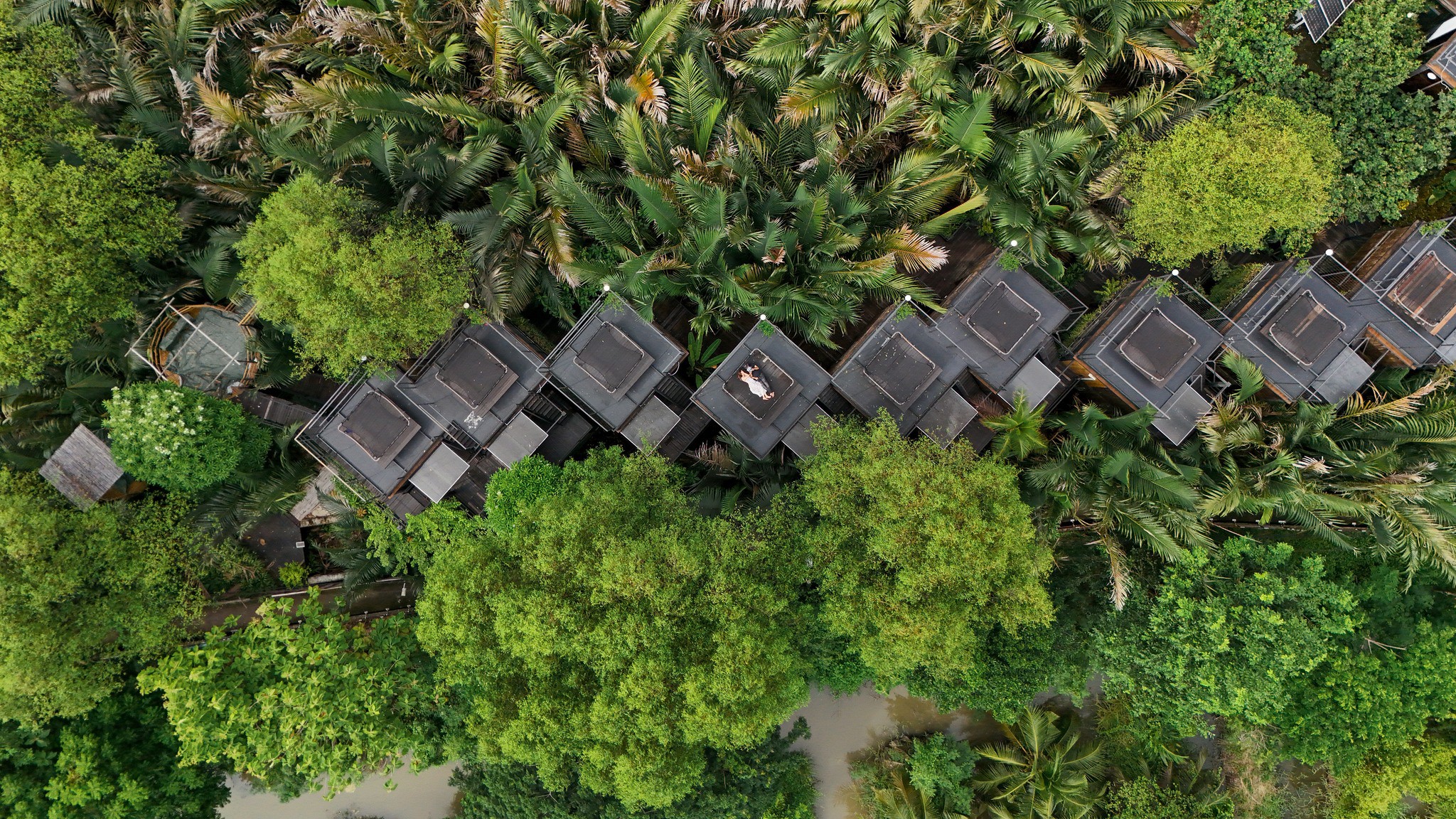 Overview