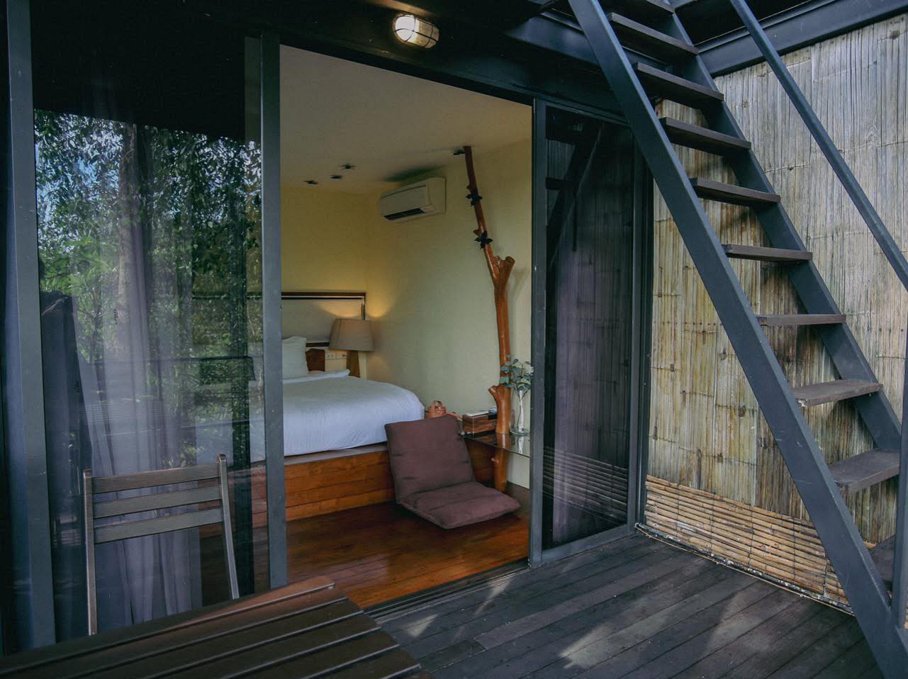 Cozy Nest