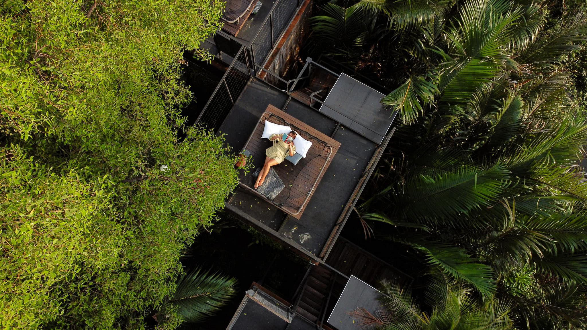 Tree Top Nest